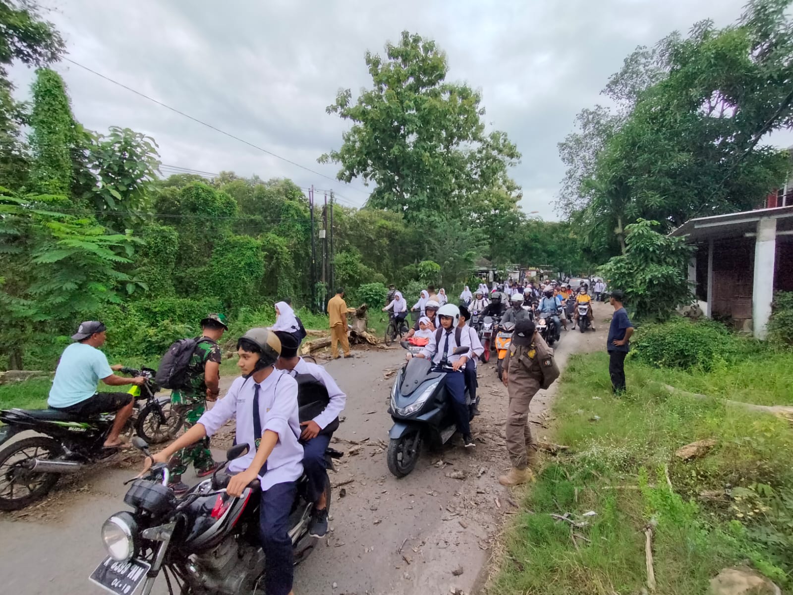 Penebangan Pohon di Jalan Raya PU Desa Batokan untuk Antisipasi Bencana