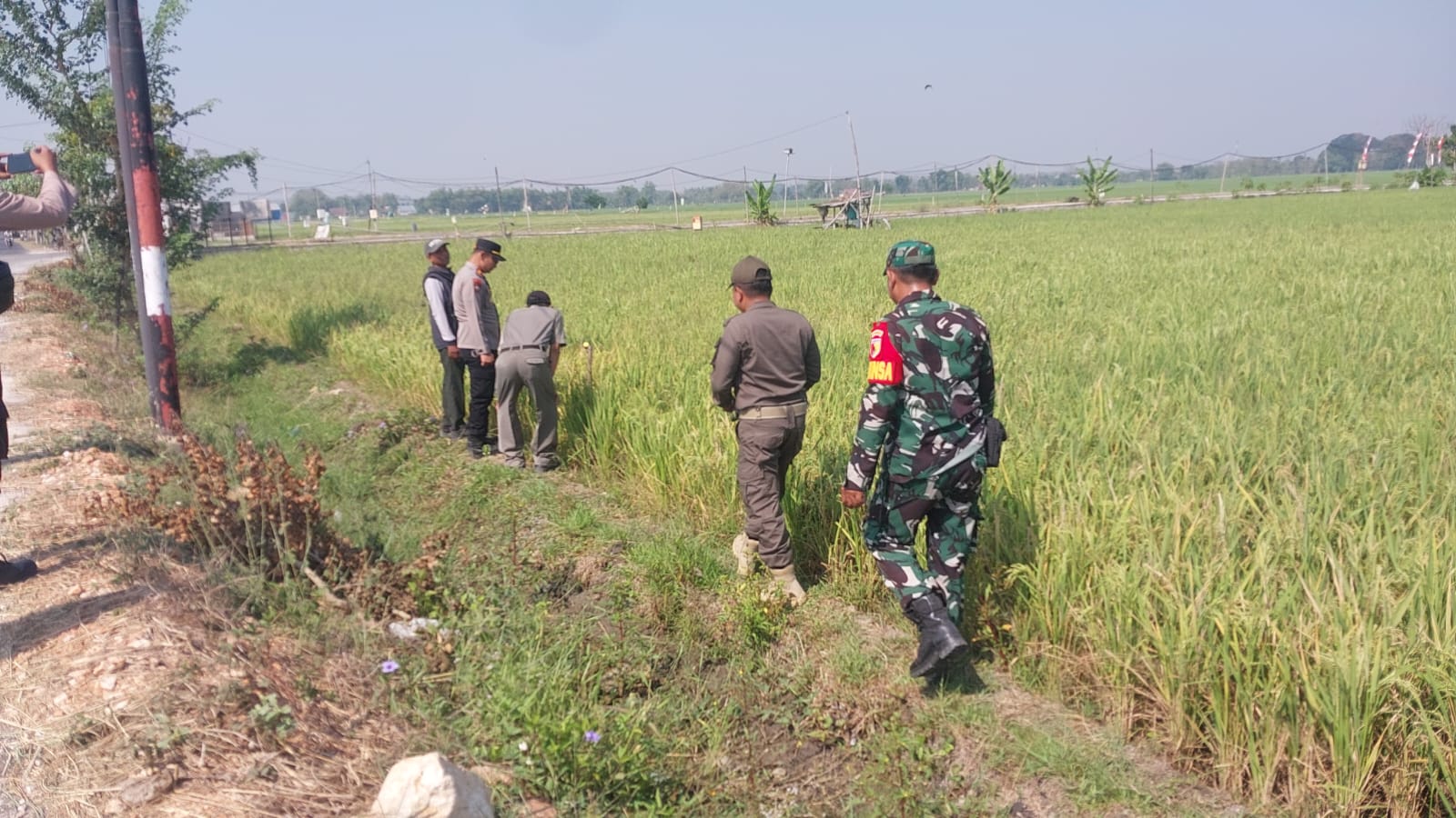 Cegah Bahaya dan Lindungi Keselamatan Petani, Tim Gabungan Tertibkan Jebakan Tikus Beraliran Listrik