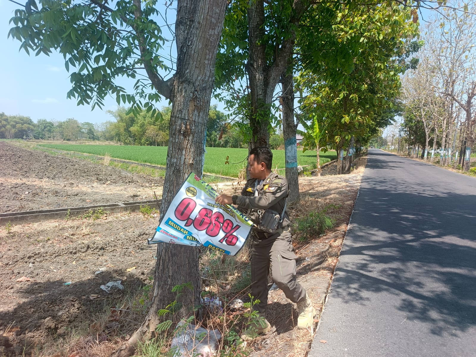 Satpol PP Kecamatan Kasiman Tertibkan Banner yang Dipasang pada Pohon