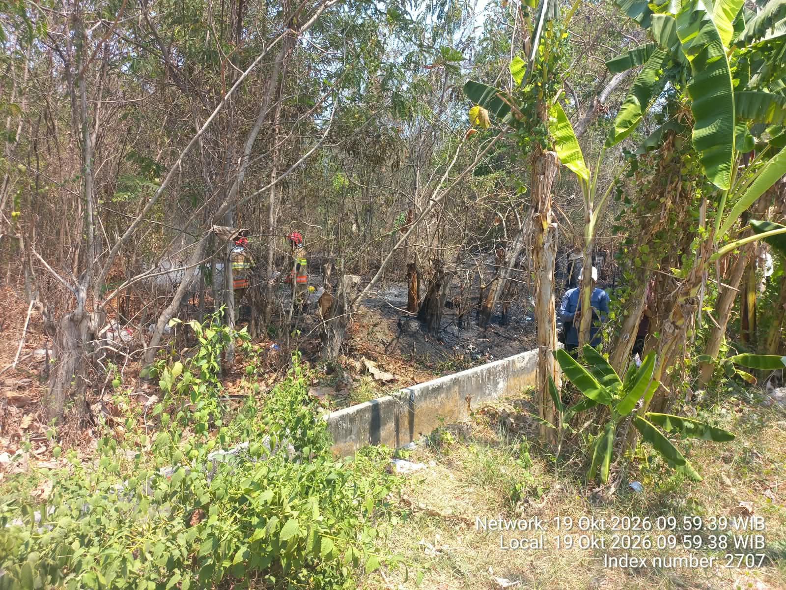 Kebakaran Lahan Jati di Desa Sambeng, Tim Damkarmat Pos Padangan Berhasil Padamkan Api